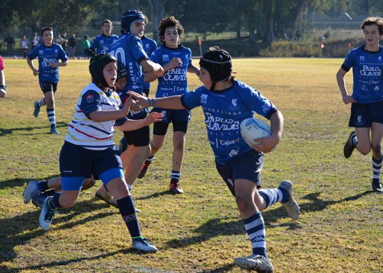 ciencias rugby sevilla sub14
