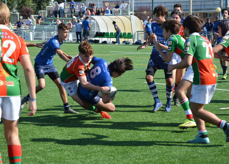 ciencias rugby sevilla m16 car