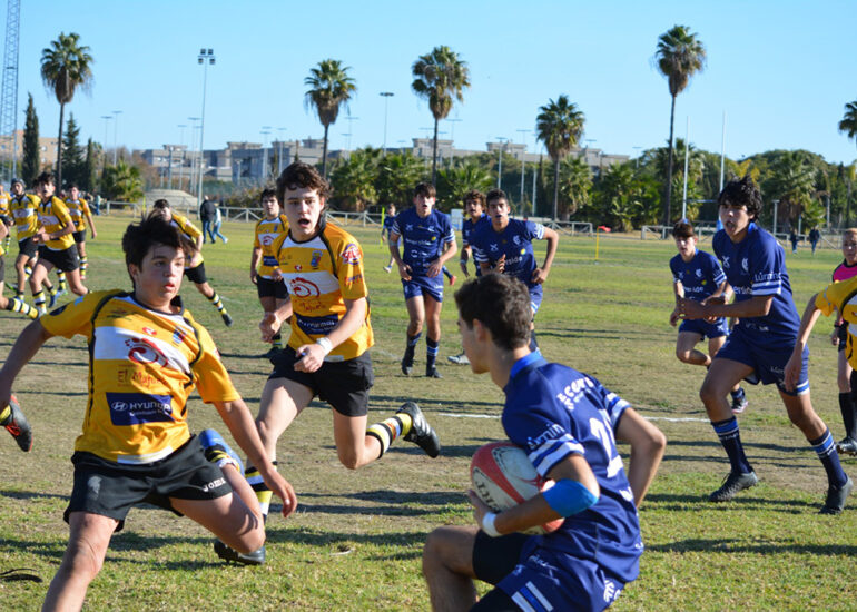 ciencias rugby sevilla m16 jerez