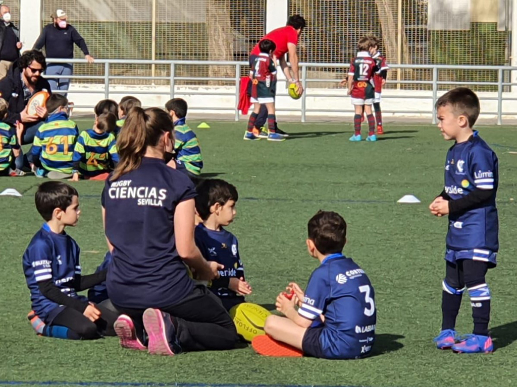 ciencias rugby sevilla m6