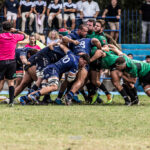 ciencias rugby sevilla gernika